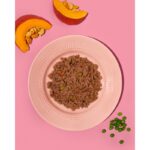 AMANOVA Pâtée pour chien sans céréales Saumon & Dinde – Image 2